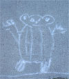 bear